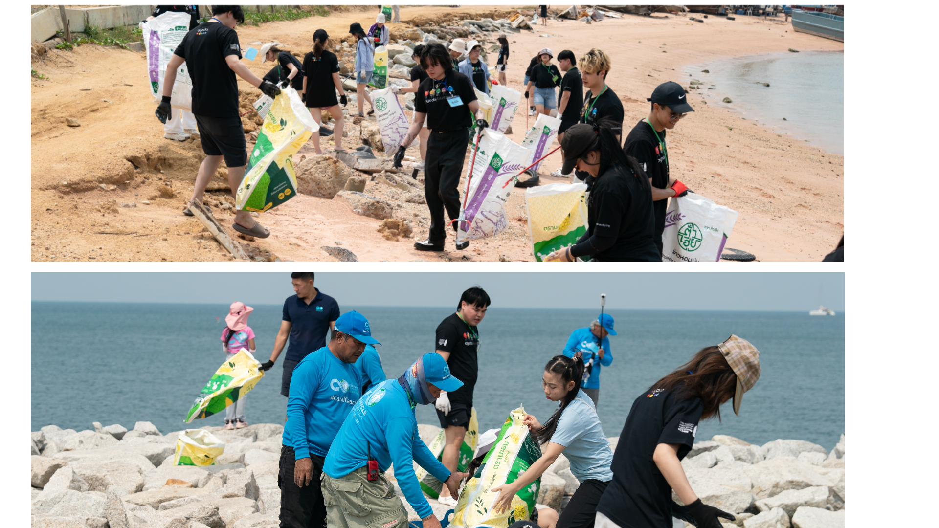 Beach Cleanup